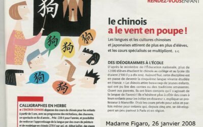 Le chinois a le vent en poupe !