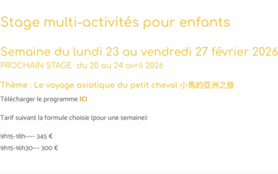 Stage multi-activités pour enfants